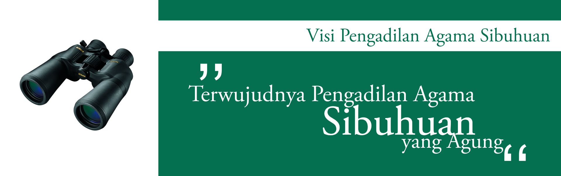 hb visi